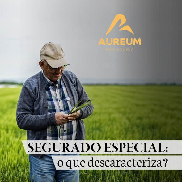 Segurado especial: o que descaracteriza?